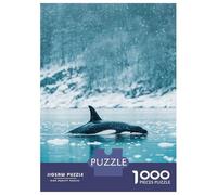 1000 Piece Jigsaw Puzzles for Adults Jigsaw Orca in Snowy Waters Adult Jigsaw Puzzle Toy Wall Decor A Work of Art Fun Activities at Home 52x38cm/1000pcs