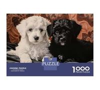 1000 Piece Jigsaw Puzzles for Adults Jigsaw Two Poodle Puppies Portrait Jigsaws for Adults Toy Wall Decor Staycation Kill Time Unique Birthday And Xmas Gifts 52x38cm/1000pcs