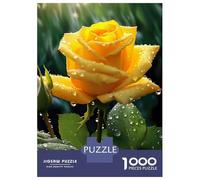 1000 Piece Jigsaw Puzzles for Adults Jigsaw Yellow Rose with Raindrops Jigsaws for Adults DIY Toys Birthday Present Challenging Game Gifts 70x50cm/1000pcs