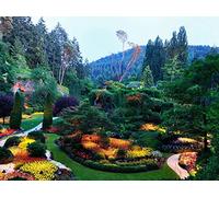 1000 Piece Jigsaw Puzzles for Adults Kids - Garden flowers variety 75x50cm