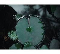 1000 Piece Jigsaw Puzzles for Adults Kids - Leaves water green 75x50cm
