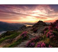1000 Piece Jigsaw Puzzles for Adults Kids - Mountains relief wild flowers 75x50cm