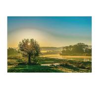 1000 Piece Jigsaw Puzzles for Adults，Morning awakening in the Weserbergland，Classic Puzzle Difficult Puzzle Fun Creative DIY Toys Gifts for Girls And Boys, Family Games（50x70cm）-AL61