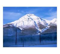 1000 Piece Jigsaw Puzzles for Adults -Mountain,Volcano Sleeping,Trees,Dead,Fog,Lake 70x50cm