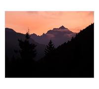 1000 Piece Jigsaw Puzzles for Adults -Mountains,Trees,Spruce,Distance,Silhouette 70x50cm