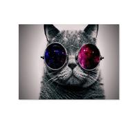 1000 Piece Jigsaw Puzzles for Adults，Mysterious Cat with Glasses，Challenging Puzzle Games for Family Fun, Relaxing Brain Teaser Gift for Women and Men（50x70cm）-Q68