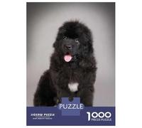 1000 Piece Jigsaw Puzzles for Adults Newfoundland Puppy Jigsaws for Adults Brain Teaser Game Stress Reliever for Is Ideal As A Gift 70x50cm/1000pcs