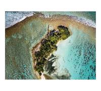 1000 Piece Jigsaw Puzzles for Adults -Ocean,Island,Aerial View,Water,Palm Trees 70x50cm
