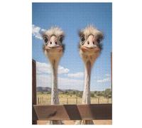 1000 Piece Jigsaw Puzzles for Adults - Ostrich - Children Puzzle Recycled Family 78×53cm