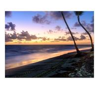 1000 Piece Jigsaw Puzzles for Adults -Palm Trees,Beach,Sea,Tropics 70x50cm