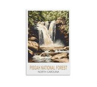 1000 Piece Jigsaw Puzzles for Adults Pisgah National Forest North Carolina Jigsaw Adult Decompression Game Puzzle Students Toys for Children Christmas Birthday Gifts 52x38cm