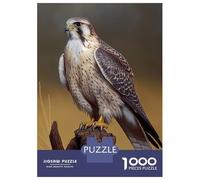 1000 Piece Jigsaw Puzzles for Adults Prairie Falcon Oil Paint Puzzles for Adults Relaxing Games A Work of Art Difficult And Challenge 38x26cm/1000pcs