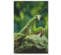 1000 Piece Jigsaw Puzzles for Adults - Praying Mantis - Children Puzzle Recycled Family 78×53cm
