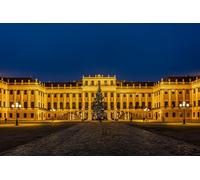 1000 Piece Jigsaw Puzzles for Adults | Puzzle | Jigsaws 1000 Pieces for Adults | Landscape Puzzle | Christmas Austria Vienna Town (50x70cm)