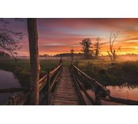 1000 Piece Jigsaw Puzzles for Adults | Puzzle | Jigsaws 1000 Pieces for Adults | Landscape Puzzle, Landscape, Poland 38x52CM