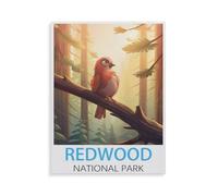 1000 Piece Jigsaw Puzzles for Adults，Redwood National Park，Classic Puzzle Difficult Puzzle Fun Creative DIY Toys Gifts for Girls And Boys, Family Games（50x70cm）-HZ29