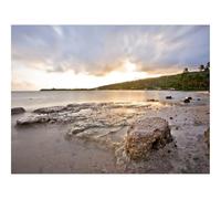 1000 Piece Jigsaw Puzzles for Adults -Reeves,Coast,Sea,Palm Trees,Wind 70x50cm