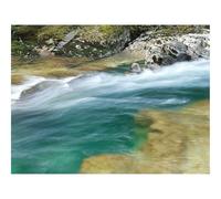 1000 Piece Jigsaw Puzzles for Adults -River,Stream,Course,Stones,Moss,Speed 70x50cm