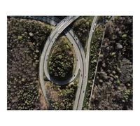 1000 Piece Jigsaw Puzzles for Adults -Road,forests,Junction,Tangled,Aerial View 70x50cm