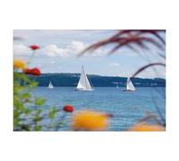 1000 Piece Jigsaw Puzzles for Adults，Sailing Boats on Lake Constance，1000 Pieces Puzzles for Challenging Family Activity Game Art Wall Decor DIY Puzzle Gifts（75x50cm）-AA100