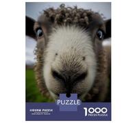 1000 Piece Jigsaw Puzzles for Adults Sheep with A Big Nose Adult Jigsaw Hands-on Game Analysis And Logic Parent-child Interaction 70x50cm/1000pcs