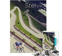 1000 Piece Jigsaw Puzzles for Adults Stelvio Pass Cycling Poster Practical Game Learning Educational Toys Birthday Gifts Birthday Present (Size 50x75cm)