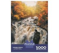 1000 Piece Jigsaw Puzzles for Adults Teenagers Black Linn Falls Hermitage Jigsaws for Adults Hands-on Game A Work of Art for Is Ideal As A Gift 38x26cm/1000pcs