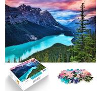 1000 Piece Jigsaw Puzzles for Adults teenagers “Canada Travel Nature Park” Made of cardboard，for age 14+ Educational toy for learning gifts for friends and family。size：26x38cm/10.24x14.96inch