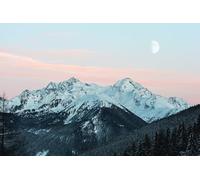 1000 Piece Jigsaw Puzzles for Adults, Thick Durable Scary Paper Puzzles, Perfectly Interlocking Fun Family Puzzles for 50x70cm