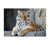 1000 Piece Jigsaw Puzzles for Adults, Tiger Jigsaw Puzzles for Adults 1000, Animal Jigsaws Educational Game, Challenging Puzzle Games for The Whole, Wooden Puzzle for Home Decor, Gifts for Women -2177