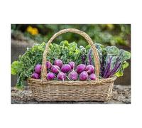 1000 Piece Jigsaw Puzzles for Adults, Vegetable Jigsaw Puzzles for Adults 1000, Basket Jigsaws Educational Game, Challenging Puzzle Games for The Whole, Wooden Puzzle for Decor Gifts for Women -1721