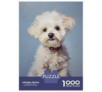1000 Piece Jigsaw Puzzles for Adults White Poodle Puppy Jigsaws for Adults Brain Teaser Game Stress Reliever for Is Ideal As A Gift 70x50cm/1000pcs