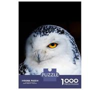 1000 Piece Jigsaw Puzzles for Adults Wild OWL Face Poster Teenager Puzzles Toy Wall Decor Birthday Present Unique Gifts for Birthday And Christmas 38x26cm/1000pcs