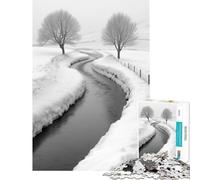1000 Piece Jigsaw Puzzles for Adults Winter River Landscape in Black And White for Educational Game Challenging Game Toys Gifts Birthday for The Whole Family (Size 50x75cm)
