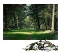 1000 Piece Jigsaw Puzzles for Adults Woods Path Mystic Jigsaw Puzzles for Adults for Family And Friends Suitable for Ages 1000 PCS(75x50cm)