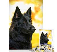 1000 Piece Jigsaw Puzzles for Teenagers Belgian Shepherd Dog Jigsaw Puzzles for Teenagers Stress Reliever for Birthday, Chrismas Birthday Present, Gifts, (38x26cm)