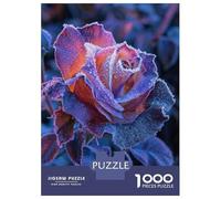1000 Piece Jigsaw Puzzles for Teenagers Black Rose Adult Puzzles Toy Wall Decor Pattern Assembly Deal As Gifts for The Whole Family 70x50cm/1000pcs