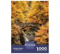 1000 Piece Jigsaw Puzzles for Teenagers Hermitage Dunkeld Adult Puzzles Relaxing Games Enhance Memory Help The Brain Exercise 70x50cm/1000pcs