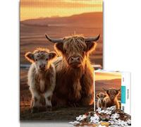 1000 Piece Jigsaw Puzzles for Teenagers Highland Cow,Learning Educational Toys Family Games Unique Birthday And Gifts (75x50cm)