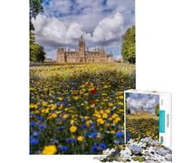 1000 Piece Jigsaw Puzzles for Teenagers Jigsaw Dundee Morgan Academy Difficult And Challenge A Work of Art Fun Games Suitable for People Aged 14 And Above (38X52CM)