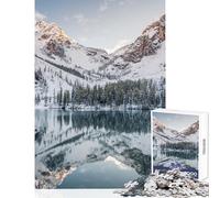 1000 Piece Jigsaw Puzzles for Teenagers Jigsaw Snowing in Mountains Educational Game Pattern Assembly Toy Wall Decor Birthday Present,Travel Gifts, (38X52CM)