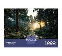 1000 Piece Jigsaw Puzzles for Teenagers Jigsaw Sunlight Streams through A Forest Path Jigsaw DIY Toys Home Decoration Unique Birthday And Gifts 70x50cm/1000pcs