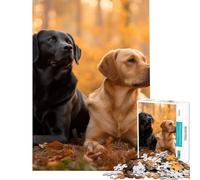 1000 Piece Jigsaw Puzzles for Teenagers Labrador Forest Dogs Help The Brain Exercise Difficult Hard Relaxing Games Suitable for Ages 14 And Up (38X26cm)
