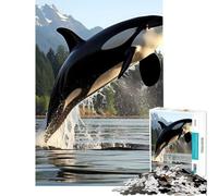 1000 Piece Jigsaw Puzzles for Teenagers Majestic Orca Whale Killer Fun Activities at Home Perfect Decoration Anti-Stress Toys Suitable for Ages 14 And Up (38x52cm)