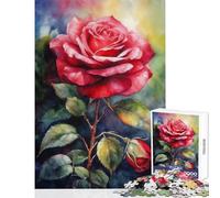 1000 Piece Jigsaw Puzzles for Teenagers Red Rose Flower in Bloom Educational Toy Secret Santa Gifts Brain Teaser Game Help The Brain Exercise Size 38x26cm