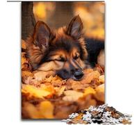1000 Piece Jigsaw Puzzles for Teenagers Shepherd Dog in Fallen Leaves, Educational Toys for Is Ideal As A Gift for The Whole Family for And 14 Years Old (Size 50x75cm)