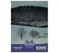 1000 Piece Jigsaw Puzzles for Teenagers Winter Landscape Puzzles for Adults Family Games Staycation Kill Time Unique Birthday And Gifts 70x50cm/1000pcs