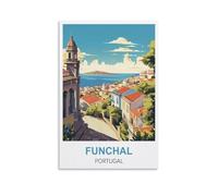 1000 Piece Jigsaw Puzzles，Funchal Portugal for Adult Educational Game Challenge Toy 1000 Pieces Puzzle for Adults Kids 38x26cm