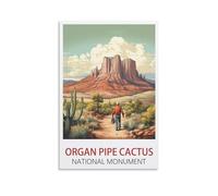 1000 Piece Jigsaw Puzzles，Organ Pipe Cactus National Monument Posters，Home Decor Birthday Party Gift Toy for Men Women Elders Seniors, 52x38cm