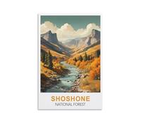1000 Piece Jigsaw Puzzles，Shoshone National Forest Puzzles for Adults Educational Game Challenge Toy 1000 Pieces 52x38cm